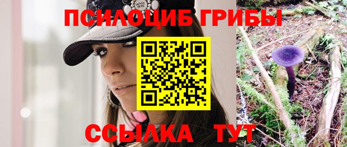 Псилоцибиновые грибы MAGIC MUSHROOMS  Вход с VPN  Мытищи 