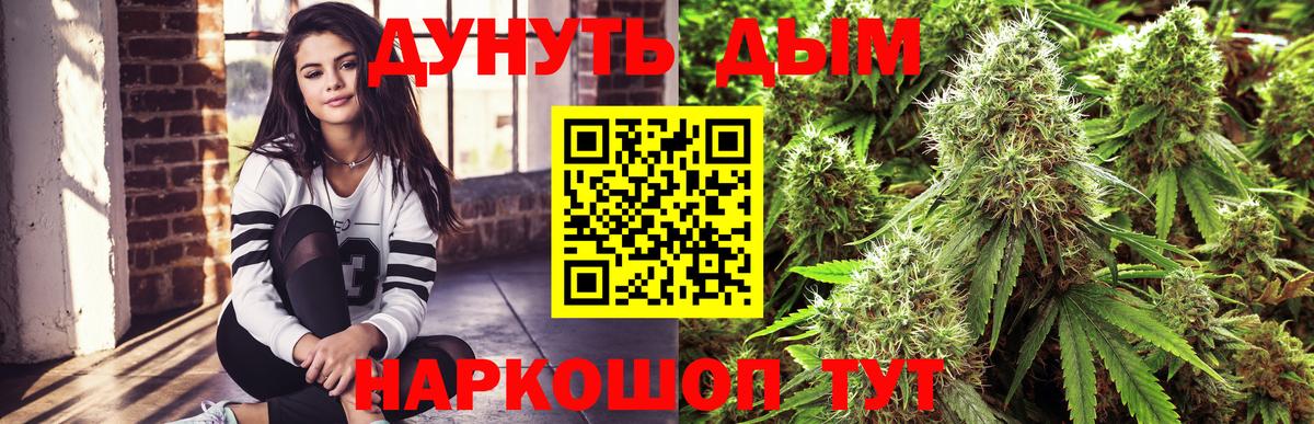 МАРИХУАНА Bruce Banner  Конопля конопля  Бошки Шишки SATIVA & INDICA  Мытищи  Вход с VPN  Конопля THC 21% 
